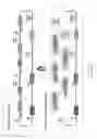 Fig. 02 - Scar-less multi-part DNA assembly design automation