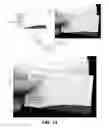Fig. 12 - Method and system for personalizing images rendered in scenes for personalized customer experience