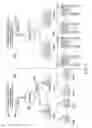 Fig. 03 - SYSTEM AND METHOD FOR NETWORK LOCAL AFFILIATE TO USE AIRTIME ON A TELEVISION NETWORK IN A RETAILER LOCAL AFFILIATE OF A NATIONAL NETWORK SERVICE PROVIDER