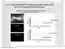 Fig. 01 - Method for Evaluating Inhibitory Polynucleotide Efficiency and Efficacy
