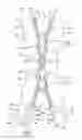 Fig. 01 - Reverse opening slide fastener