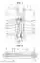 Fig. 06 - Reverse opening slide fastener