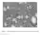 Fig. 03 - Multiphase acrylic adhesives