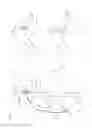 Fig. 02 - Belt molding
