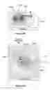 Fig. 20 - Antenna alignment and vehicle guidance for wireless charging of electric vehicles