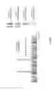 Fig. 22 - Transmitting apparatus, receiving apparatus, transmitting method, and receiving method