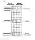 Fig. 02 - Method for transmitting pilot signal in multi-carrier wireless transmission system