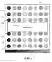 Fig. 04 - Method and system for dynamic color correction