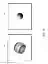 Fig. 07 - Image categorization based on comparisons between images