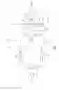 Fig. 09 - OPTICAL OFDM TRANSMISSION HAVING A VARIABLE TRANSMISSION RATE