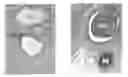 Fig. 01 - ADIPOSE-DERIVED INDUCED PLURIPOTENT STEM CELLS