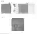 Fig. 02 - ADIPOSE-DERIVED INDUCED PLURIPOTENT STEM CELLS
