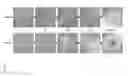 Fig. 06 - ADIPOSE-DERIVED INDUCED PLURIPOTENT STEM CELLS