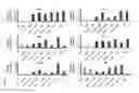 Fig. 07 - ADIPOSE-DERIVED INDUCED PLURIPOTENT STEM CELLS