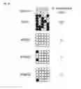 Fig. 08 - ADIPOSE-DERIVED INDUCED PLURIPOTENT STEM CELLS