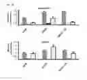 Fig. 22 - ADIPOSE-DERIVED INDUCED PLURIPOTENT STEM CELLS