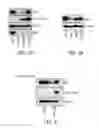 Fig. 03 - Herpes simplex virus vaccines