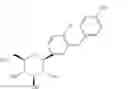 Fig. 06 - Pharmaceutical formulations containing an SGLT2 inhibitor