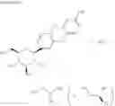 Fig. 07 - Pharmaceutical formulations containing an SGLT2 inhibitor