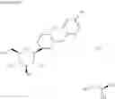 Fig. 08 - Pharmaceutical formulations containing an SGLT2 inhibitor