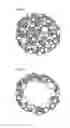 Fig. 02 - Composite particles for electrochemical element electrode