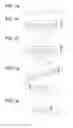Fig. 02 - Foil transferring method and toner for forming foil transferring layer
