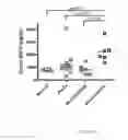 Fig. 02 - Detection of B-cell activating factor as a biomarker for antibody mediated rejection in transplant recipients