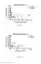Fig. 04 - Detection of B-cell activating factor as a biomarker for antibody mediated rejection in transplant recipients