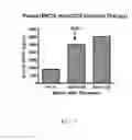 Fig. 07 - Detection of B-cell activating factor as a biomarker for antibody mediated rejection in transplant recipients