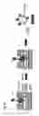 Fig. 22 - Method for binding a recombinant polypeptide to a carrier