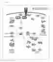 Fig. 07 - Method for quantifying biomolecules