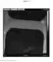 Fig. 13 - Multifunctional biomaterials as scaffolds for electronic, optical, magnetic, semiconducting, and biotechnological applications