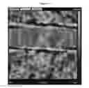 Fig. 14 - Multifunctional biomaterials as scaffolds for electronic, optical, magnetic, semiconducting, and biotechnological applications