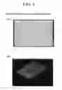 Fig. 08 - POLISHING METHOD BY BLASTING AND NOZZLE STRUCTURE FOR A BLASTING APPARATUS FOR USE IN THE POLISHING METHOD