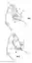 Fig. 02 - Child support repositioning mechanism