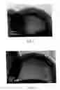 Fig. 02 - METHOD FOR PRODUCING COMPOSITE SILICA PARTICLES