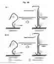 Fig. 09 - TSG primer target detection