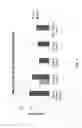 Fig. 02 - Oxide Layers on Silicone Substrates for Effective Confocal Laser Microscopy