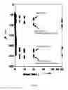 Fig. 02 - Methods to characterize fracture plugging efficiency for drilling fluids