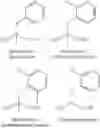 Fig. 07 - SHORT CHAIN PEPTIDOMIMETICS BASED ORALLY ACTIVE GLP 1 AGONIST AND GLUCAGON RECEPTOR ANTAGONIST