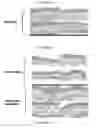 Fig. 02 - METHODS AND COMPOSITIONS FOR SKIN REGENERATION