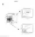 Fig. 02 - Uses of hypoxia-inducible factor inhibitors