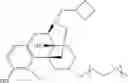 Fig. 43 - Oligomer-opioid agonist conjugates