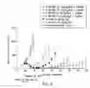 Fig. 06 - COMBINATION THERAPY WITH PARP INHIBITORS
