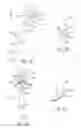 Fig. 12 - Antenna support structure for magnetic resonance imaging