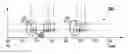Fig. 01 - Balanced feature display in fluidic sample separation