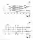Fig. 06 - Balanced feature display in fluidic sample separation
