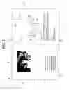 Fig. 02 - Pop-Up Greeting Card