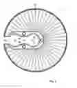Fig. 07 - Removable Plant Protection System and Method of Protecting a Plant