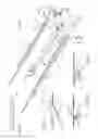 Fig. 02 - Dog for an ejector system of a square baler